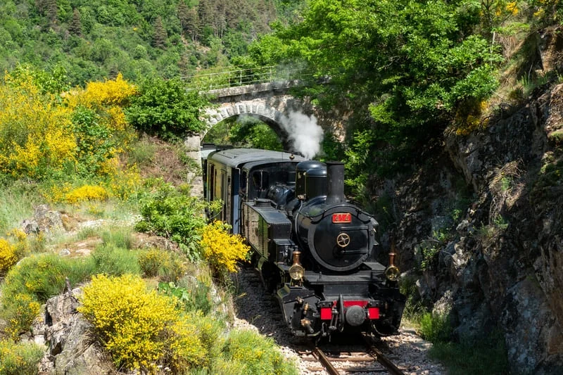 Le Mastrou, train à vapeur, le long des gorges du Doux