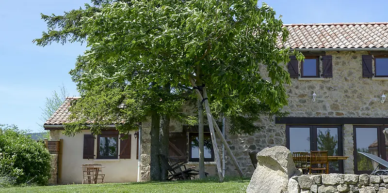 Le mas en pierre de La Pradella et son grand figuier, avec la table de jardin en teck