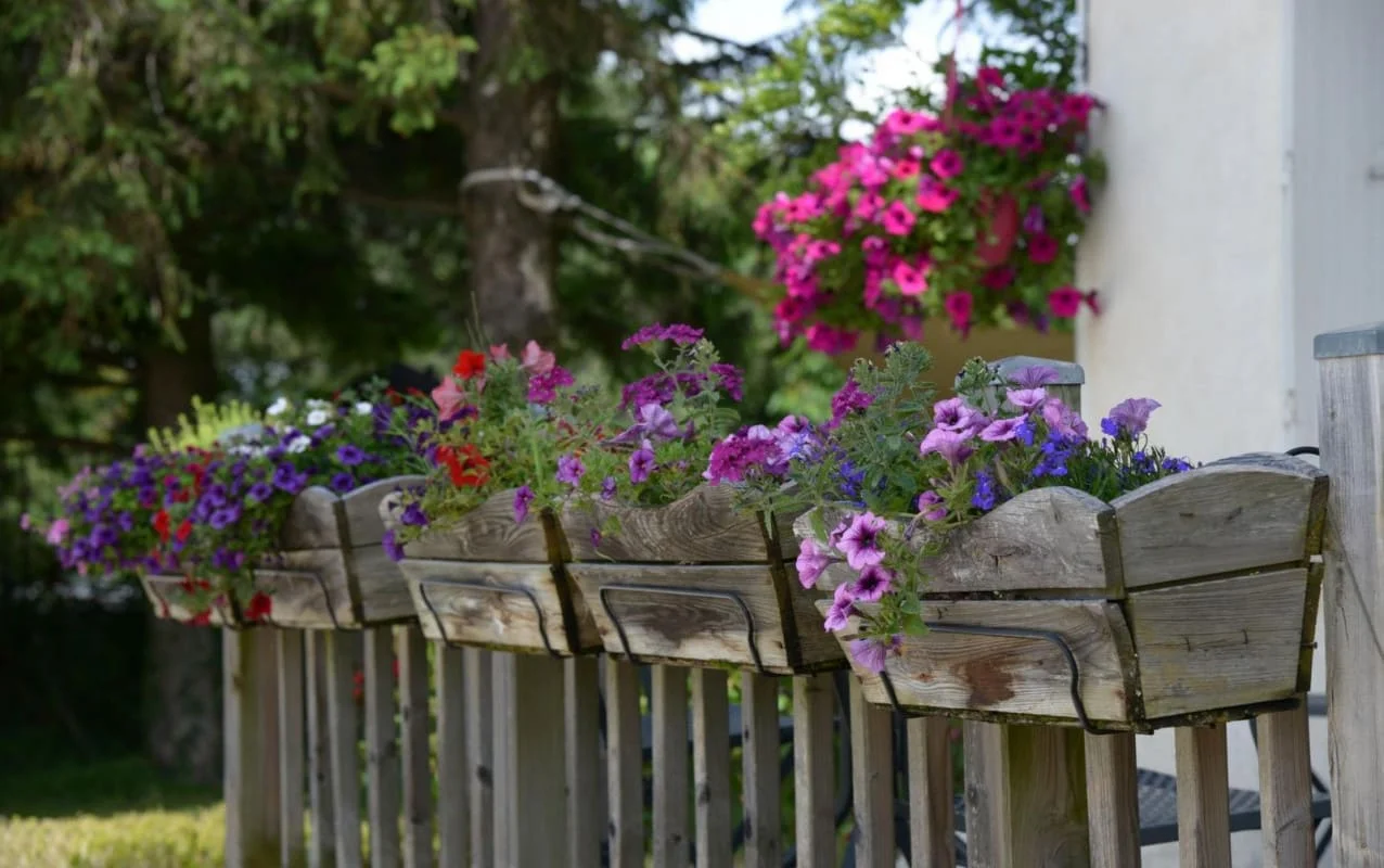 Jardinières fleuries sur la terrasse de La Pradella
