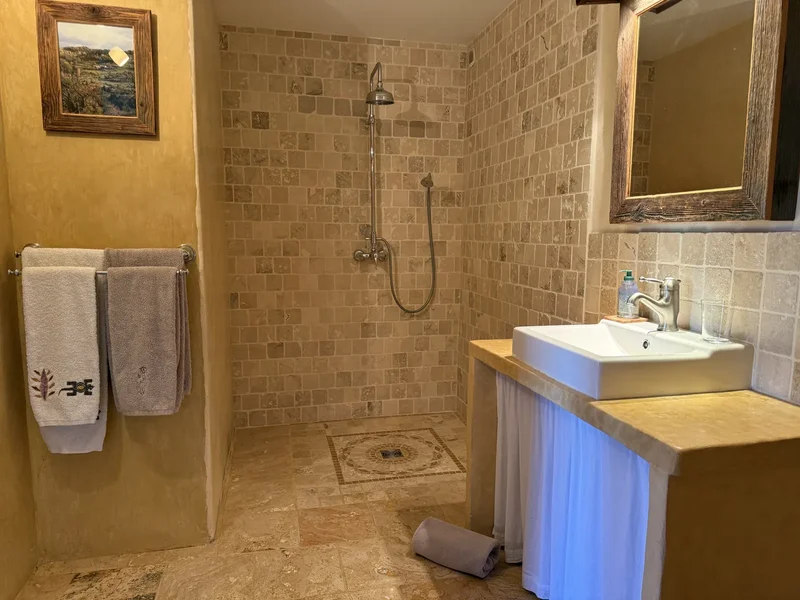 L'Hirondelle : la salle d'eau, sa douche à l'italienne en mosaïque et sa vasque