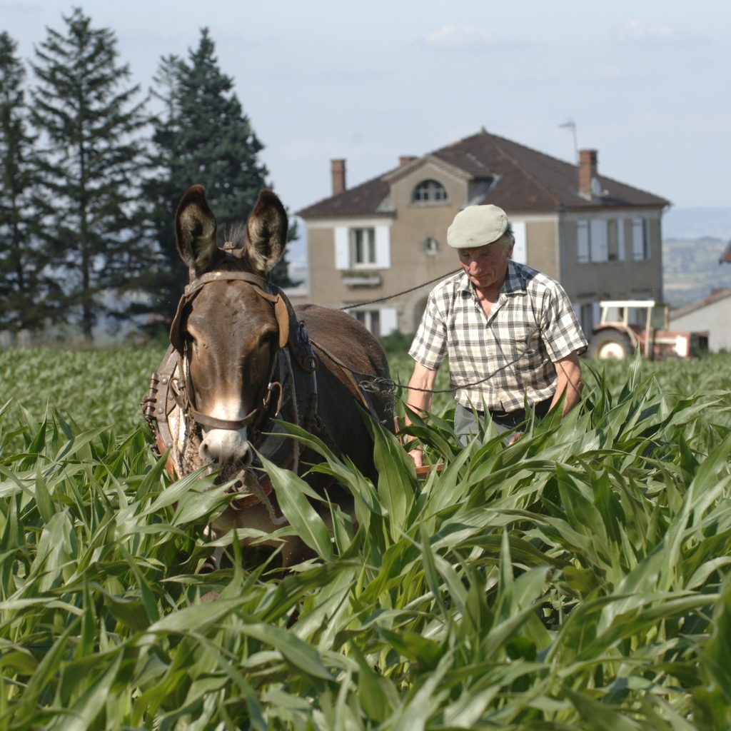 La Une – domaine