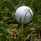 golf-ball