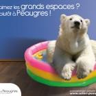 peaugres ours