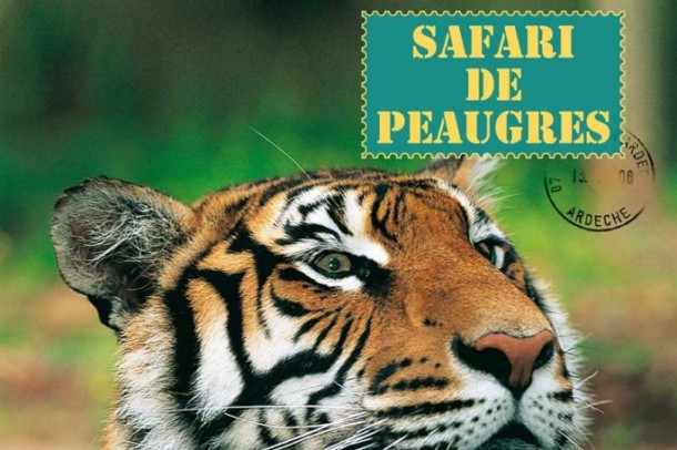 safari peaugres